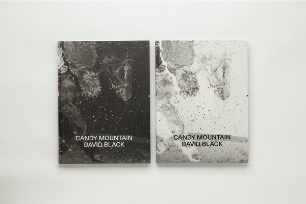 Candy Mountain by David Black – Hat & Beard Press