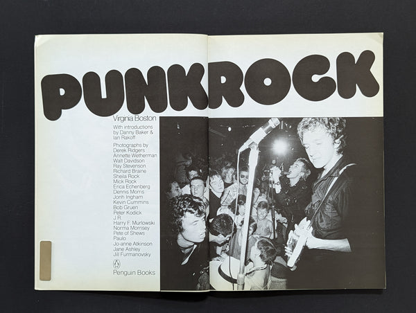 Punk Rock by Virginia Boston