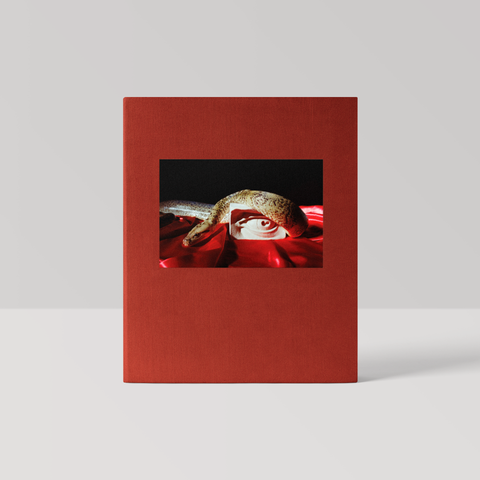 Immediately — Perfume Genius/Mike Hadreas – Hat & Beard Press
